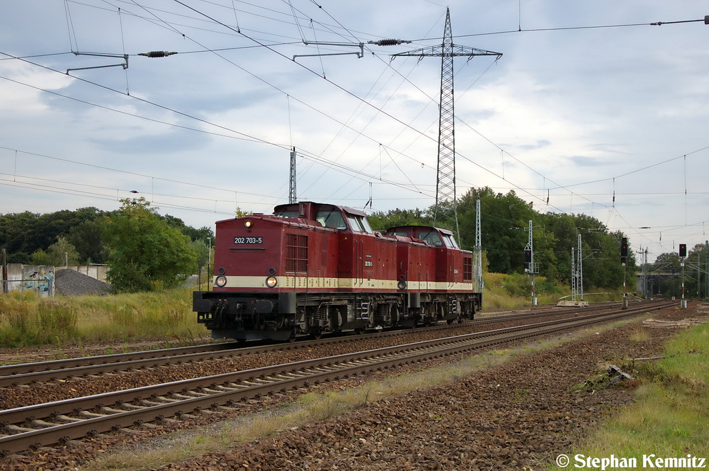 202 703-5 (203 230-8) & 202 484-2 (203 229-0) LEG - Leipziger Eisenbahnverkehrsgesellschaft mbH kamen zusammen durch Satzkorn gefahren und fuhren in Richtung Priort weiter. 25.09.2012