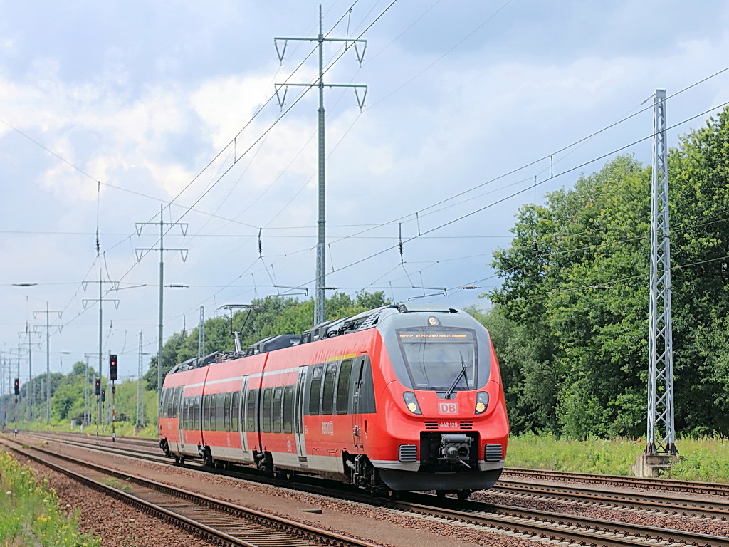 442 125 und 442 625 als RB 22 (RB 28818) von Potsdam Griebnitzsee  nach Berlin Schnefeld Flughafen bei Diedersdorf auf dem sdlichen Berliner Auenring  am 11. Juli  2012.
