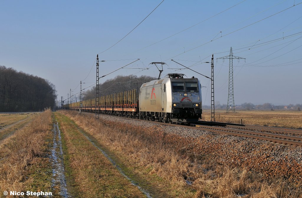 Die TXL 185 531-1 durcheilt mit DGS 94226 (Ribbeck - Eberswalde) die Wiesen von Ahrensdorf (29.01.11)