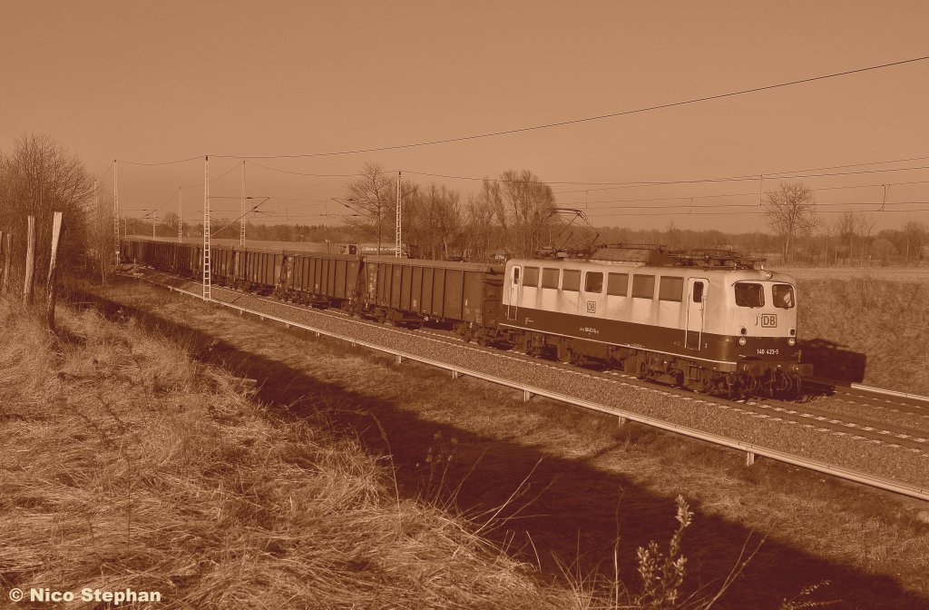 In Sepia - Das Tageshighlight in Form der 140 423-5 mit einem Rolldachwagenganzzug nach Spreewitz,hier am B 72 bei Priort (02.03.11)
