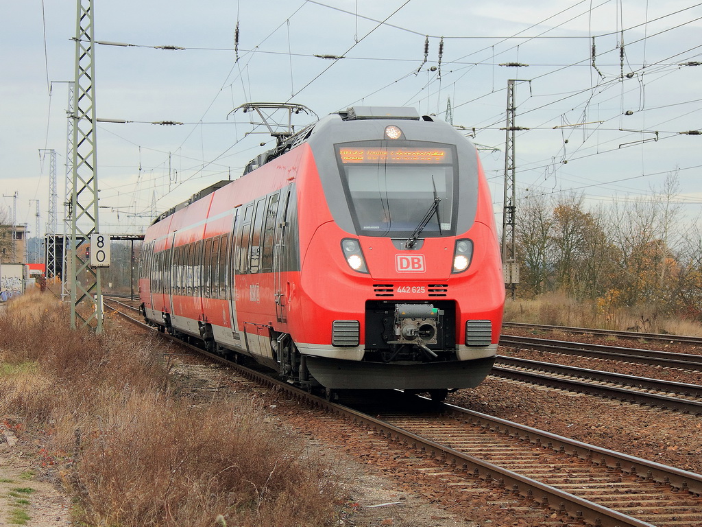 442 625 und 442 125 als RB 22 (RB 28820) von Potsdam Hauptbahnhof nach Berlin Schnefeld Flughafen bei der Ausfahrt aus den Bahnhof Saarmund am 10. November 2012.